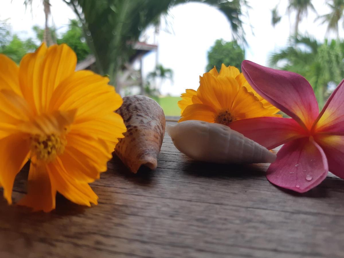 Daluyong Beach Resort جنرال لونا المظهر الخارجي الصورة