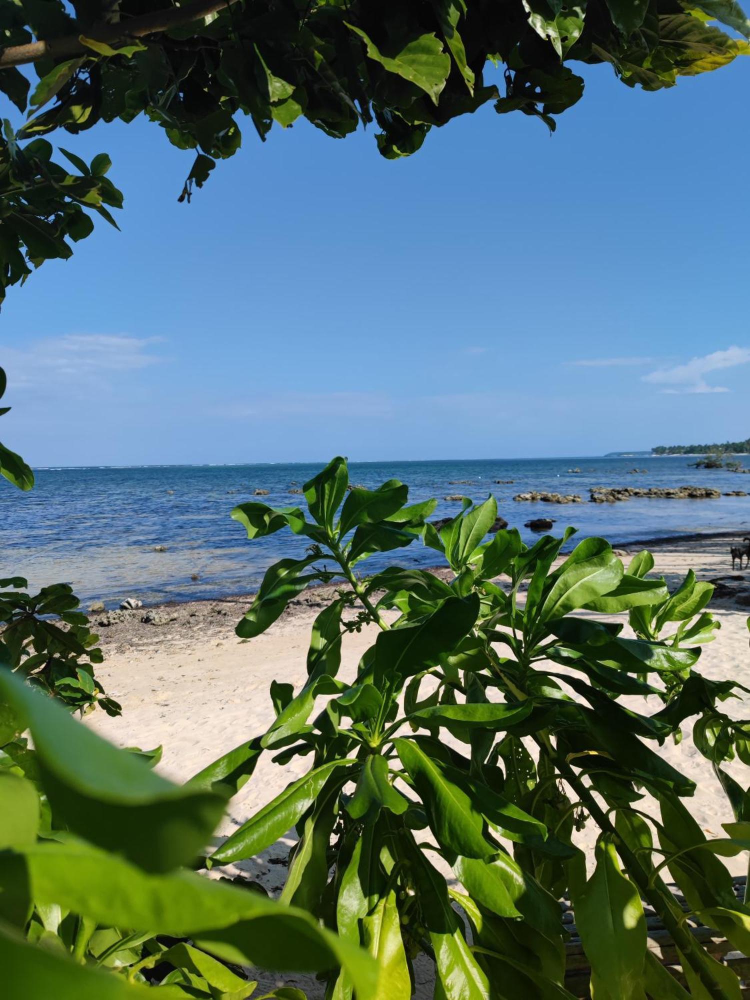 Daluyong Beach Resort جنرال لونا المظهر الخارجي الصورة